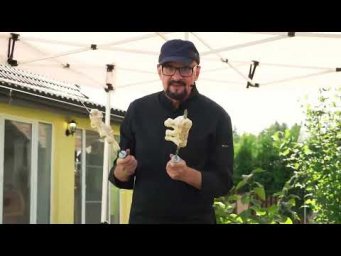 Шашлык по-ирански из курицы