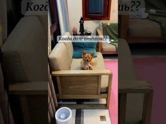Нахлебники 