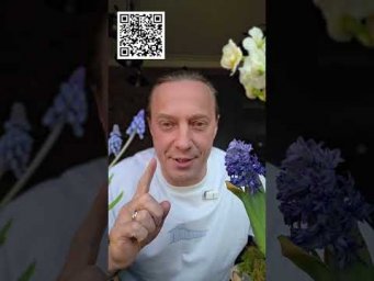 Куда поехать на майские? Приезжайте ко мне в Кологрив