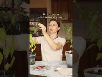 6 способов использования чили               #чили #вегетарианство #кулинарнаямагия #индийскаякухня