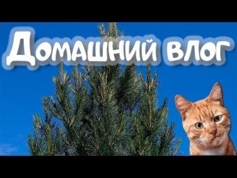 Домашний влог, кот, голуби, вязалки