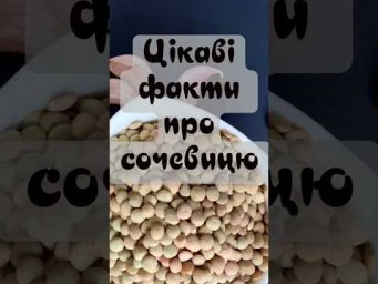 Чим корисна сочевиця?