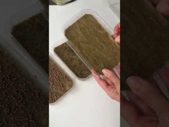 Выращиваю микрозелень дома на подоконнике