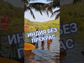 ГОА без прикрас. ИНДИЯ сегодня. 1 февраля 2026