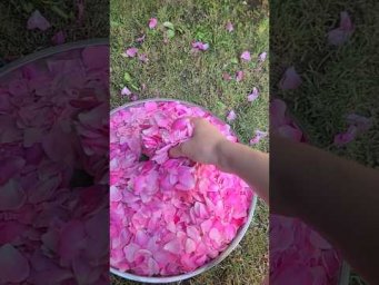 Моє Літо ❤❤❤