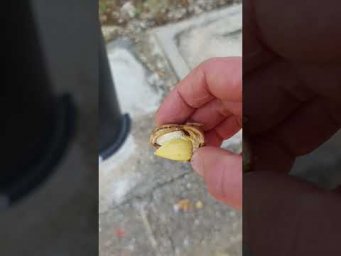Люблю Миндальное дерево