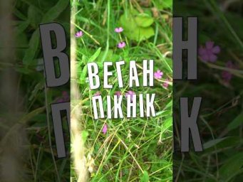 Веганський пікнік 