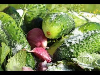 Рецепт советской кухни - маринованные огурцы!Recipe Soviet cuisine - pickled cucumbers!