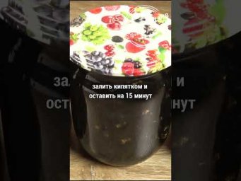 Смородина без сахара и кипячения. Для выпечки и компотов